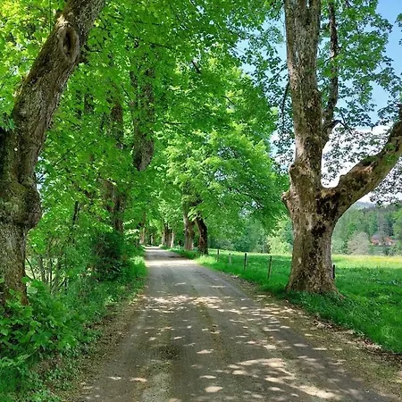 Dom wakacyjny Corinna Kirchdorf im Wald