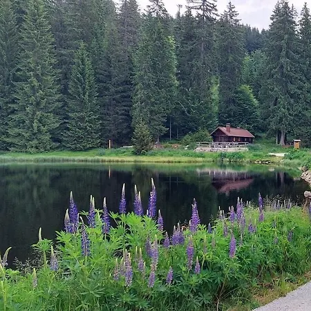 Corinna Dom wakacyjny Kirchdorf im Wald