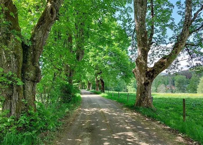 펜션 Corinna Kirchdorf im Wald