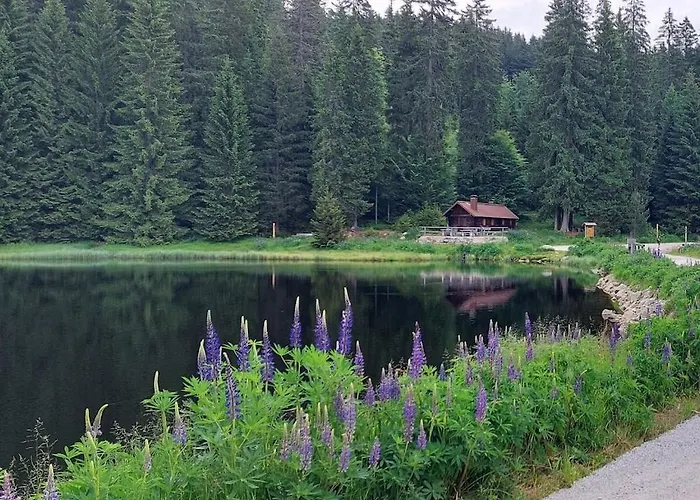 Corinna 펜션 Kirchdorf im Wald